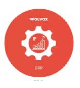 WOLVOX ERP PAKETLER